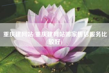 重庆建网站(重庆建网站哪家售后服务比较好)