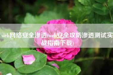 web网络安全渗透(web安全攻防渗透测试实战指南下载)