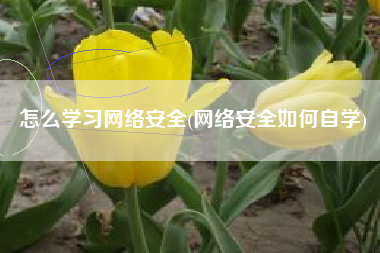 怎么学习网络安全(网络安全如何自学)