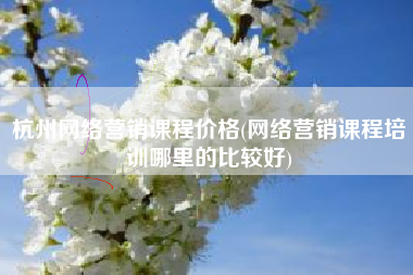 杭州网络营销课程价格(网络营销课程培训哪里的比较好)