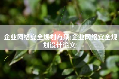 企业网络安全规划方案(企业网络安全规划设计论文)