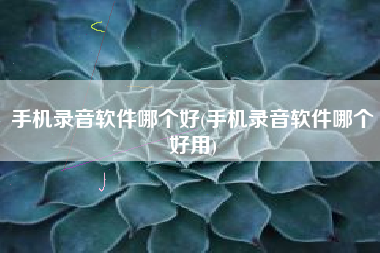 手机录音软件哪个好(手机录音软件哪个好用)