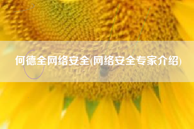 何德全网络安全(网络安全专家介绍)
