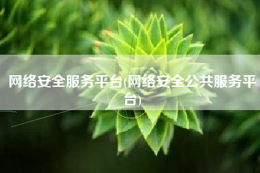 网络安全服务平台(网络安全公共服务平台)