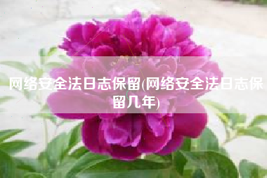 网络安全法日志保留(网络安全法日志保留几年)