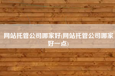 网站托管公司哪家好(网站托管公司哪家好一点)
