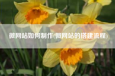 微网站如何制作(微网站的搭建流程)