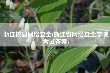 浙江校园网络安全(浙江省网络安全学院考试答案)