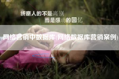网络营销中数据库(网络数据库营销案例)