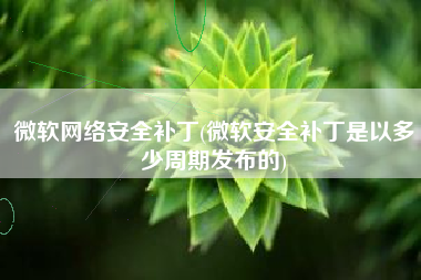微软网络安全补丁(微软安全补丁是以多少周期发布的)