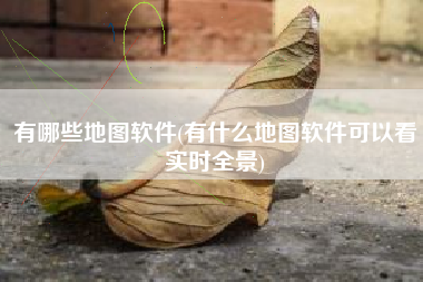 有哪些地图软件(有什么地图软件可以看实时全景)