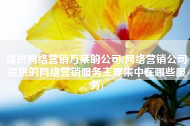 提供网络营销方案的公司(网络营销公司提供的网络营销服务主要集中在哪些服务)