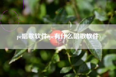 pc唱歌软件(pc有什么唱歌软件)