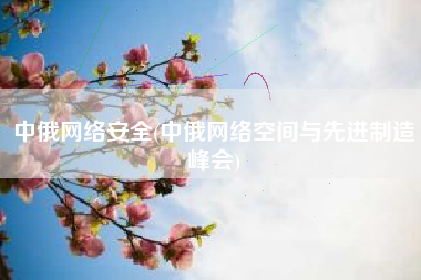 中俄网络安全(中俄网络空间与先进制造峰会)