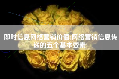 即时信息网络营销价值(网络营销信息传递的五个基本要素)
