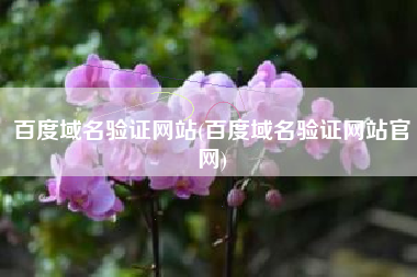 百度域名验证网站(百度域名验证网站官网)