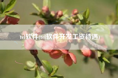 tcl软件(tcl软件开发工资待遇)
