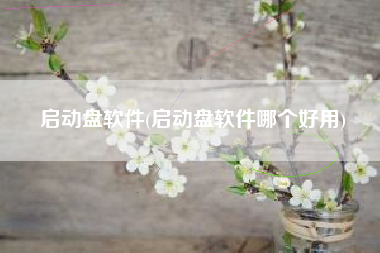 启动盘软件(启动盘软件哪个好用)
