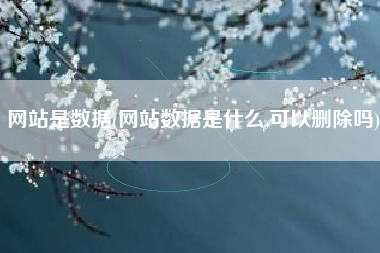 网站是数据(网站数据是什么,可以删除吗)