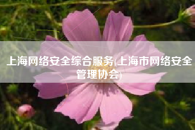 上海网络安全综合服务(上海市网络安全管理协会)