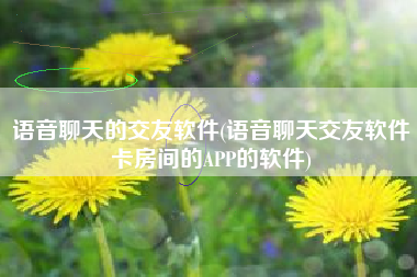 语音聊天的交友软件(语音聊天交友软件卡房间的APP的软件)