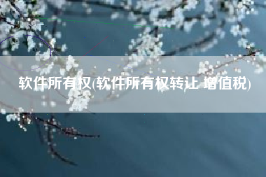 软件所有权(软件所有权转让 增值税)