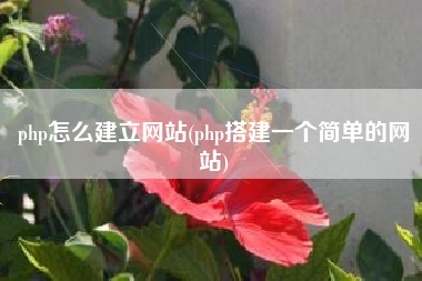 php怎么建立网站(php搭建一个简单的网站)