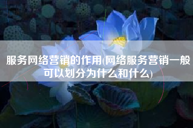 服务网络营销的作用(网络服务营销一般可以划分为什么和什么)