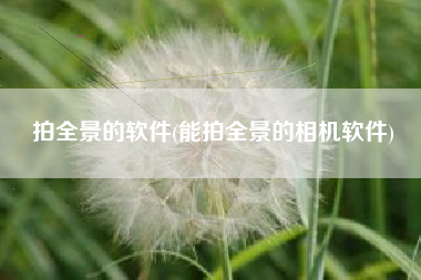 拍全景的软件(能拍全景的相机软件)