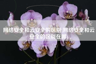 网络安全和云安全的区别(网络安全和云安全的区别在哪)