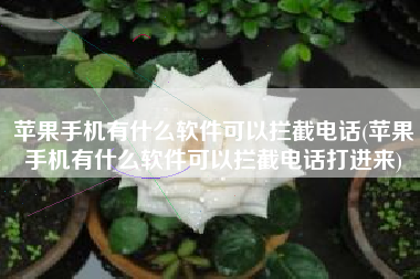 苹果手机有什么软件可以拦截电话(苹果手机有什么软件可以拦截电话打进来)