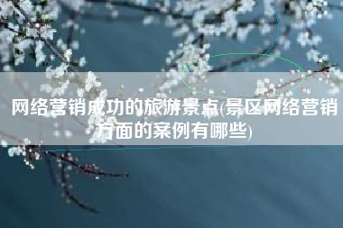 网络营销成功的旅游景点(景区网络营销方面的案例有哪些)