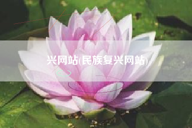 兴网站(民族复兴网站)
