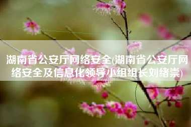 湖南省公安厅网络安全(湖南省公安厅网络安全及信息化领导小组组长刘绪崇)