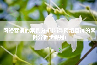 网络营销的案例分析步骤(网络营销的案例分析步骤是)