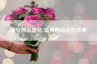 瑞安网站优化(温州网站优化效果)