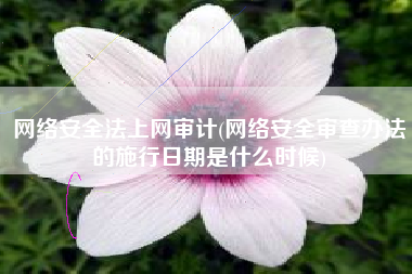 网络安全法上网审计(网络安全审查办法的施行日期是什么时候)