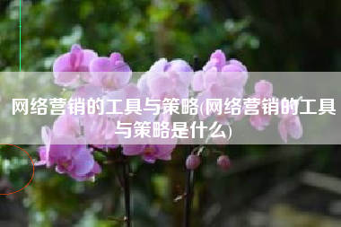 网络营销的工具与策略(网络营销的工具与策略是什么)