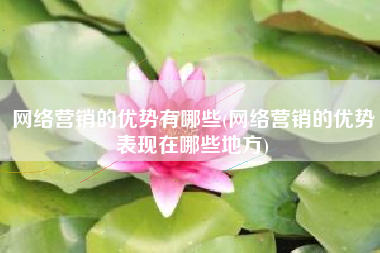 网络营销的优势有哪些(网络营销的优势表现在哪些地方)