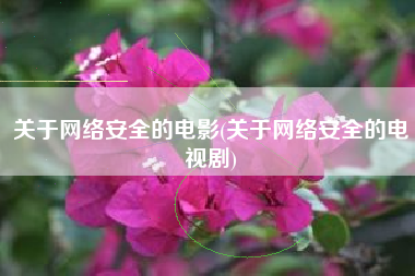 关于网络安全的电影(关于网络安全的电视剧)