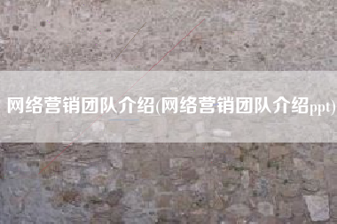 网络营销团队介绍(网络营销团队介绍ppt)