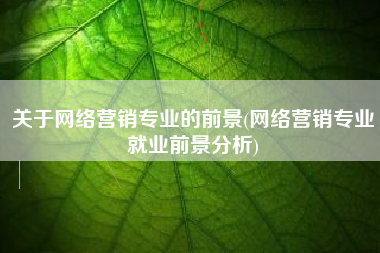 关于网络营销专业的前景(网络营销专业就业前景分析)