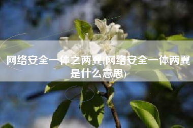 网络安全一体之两翼(网络安全一体两翼是什么意思)