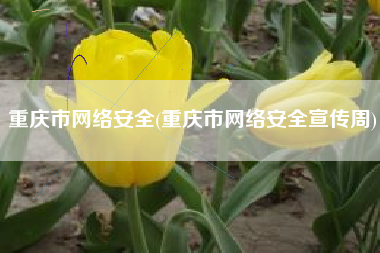 重庆市网络安全(重庆市网络安全宣传周)