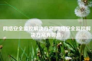 网络安全监控解决方案(网络安全监控解决方案有哪些)