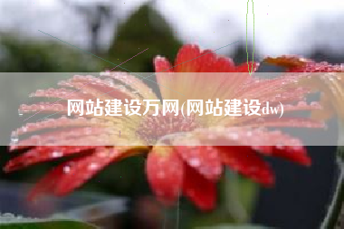 网站建设万网(网站建设dw)