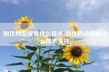 制作网站需要什么技术(制作网站需要什么技术支持)