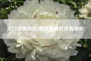 黑白漫画软件(黑白漫画软件有哪些)