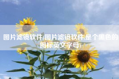 图片滤镜软件(图片滤镜软件,是个黑色的图标英文字母)