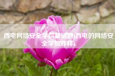 西电网络安全学院复试题(西电的网络安全学院咋样)